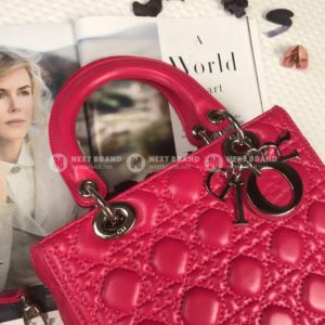Фото сумки Lady Dior Small F3708