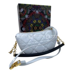 Фото сумки Dior Vibe F10140