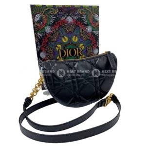 Фото сумки Dior Vibe F10139